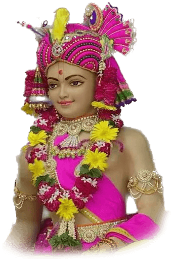 Patotsav of Manavadar temple